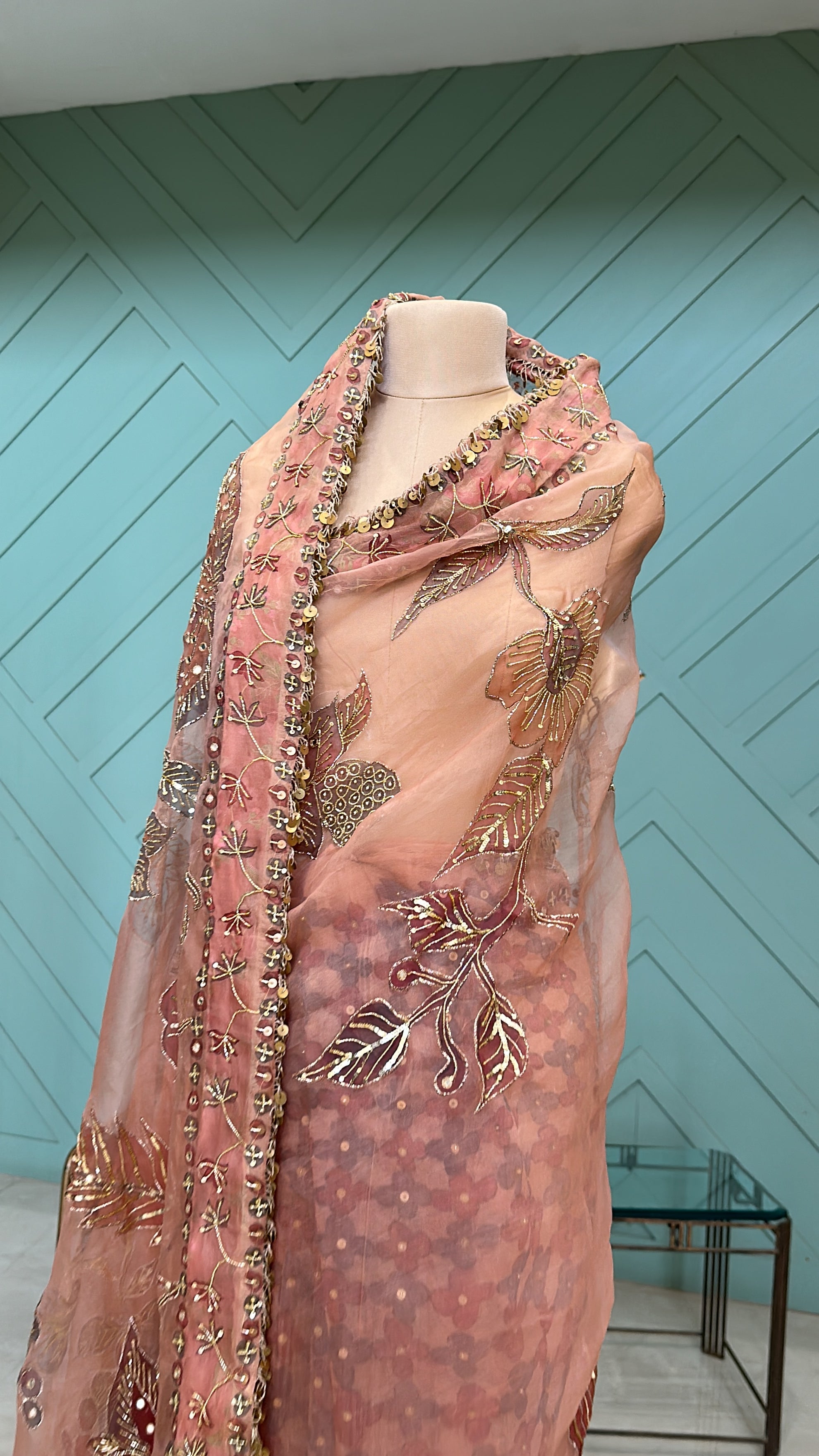 Shahzadi Silkpainted Embellished Pure organza saree and blouse