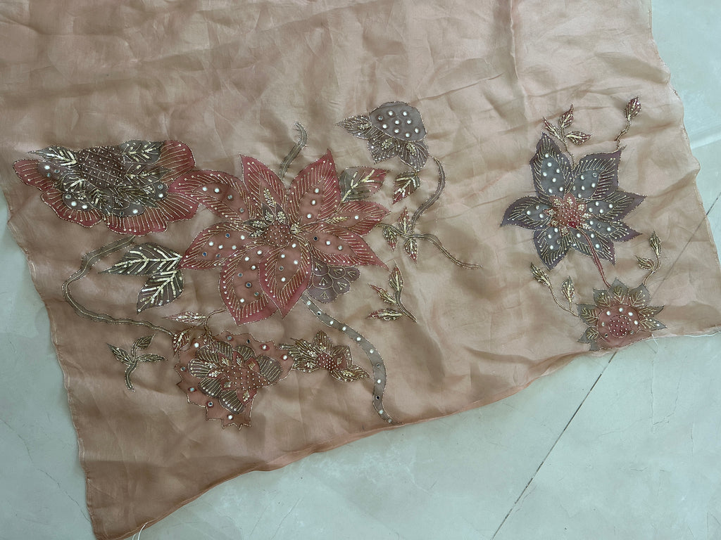 Shahzadi Silkpainted Embellished Pure organza saree and blouse