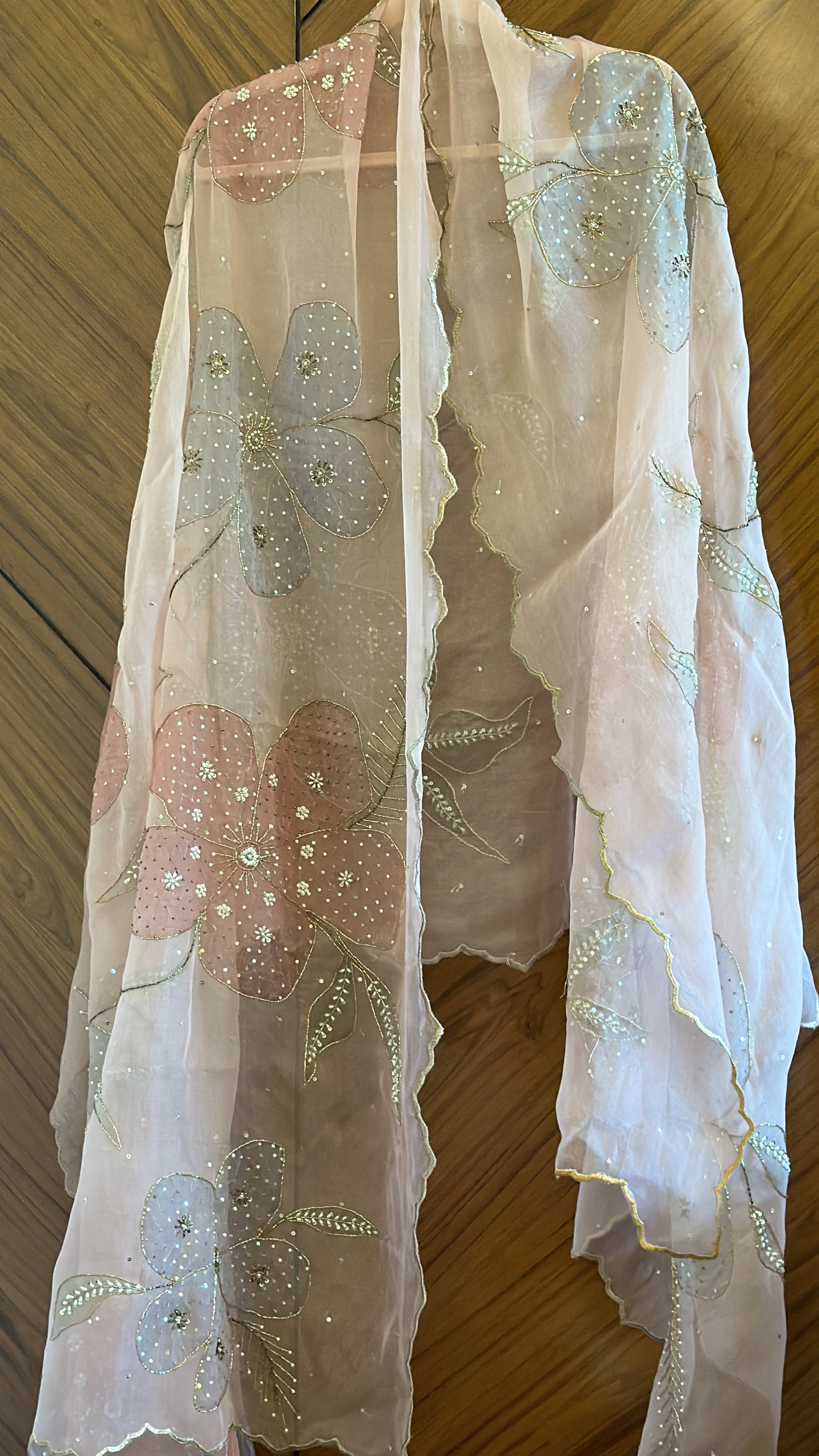 Blush Peach Silkpainted Pure organza dupatta