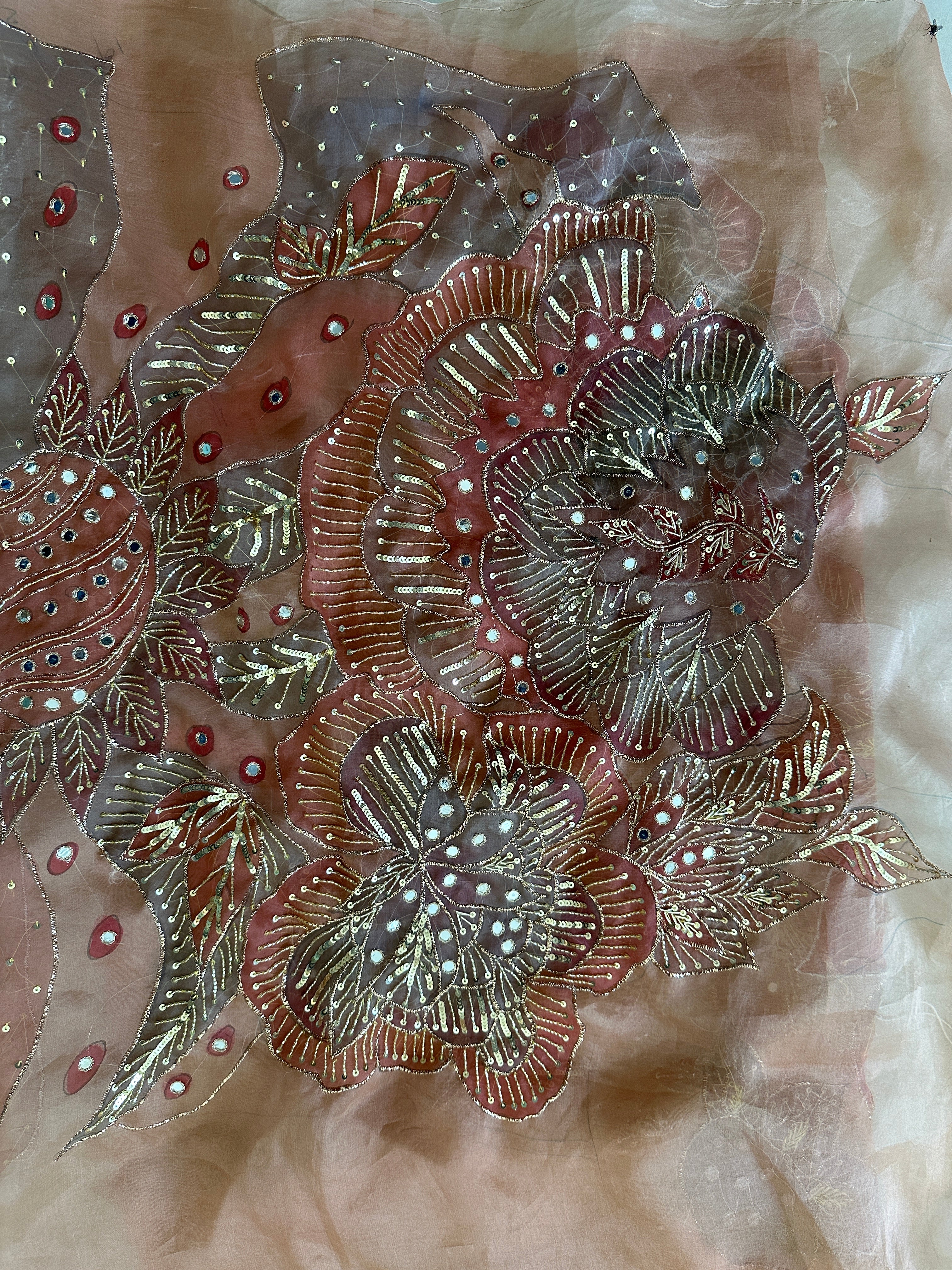 Shahzadi Silkpainted Embellished Pure organza saree and blouse