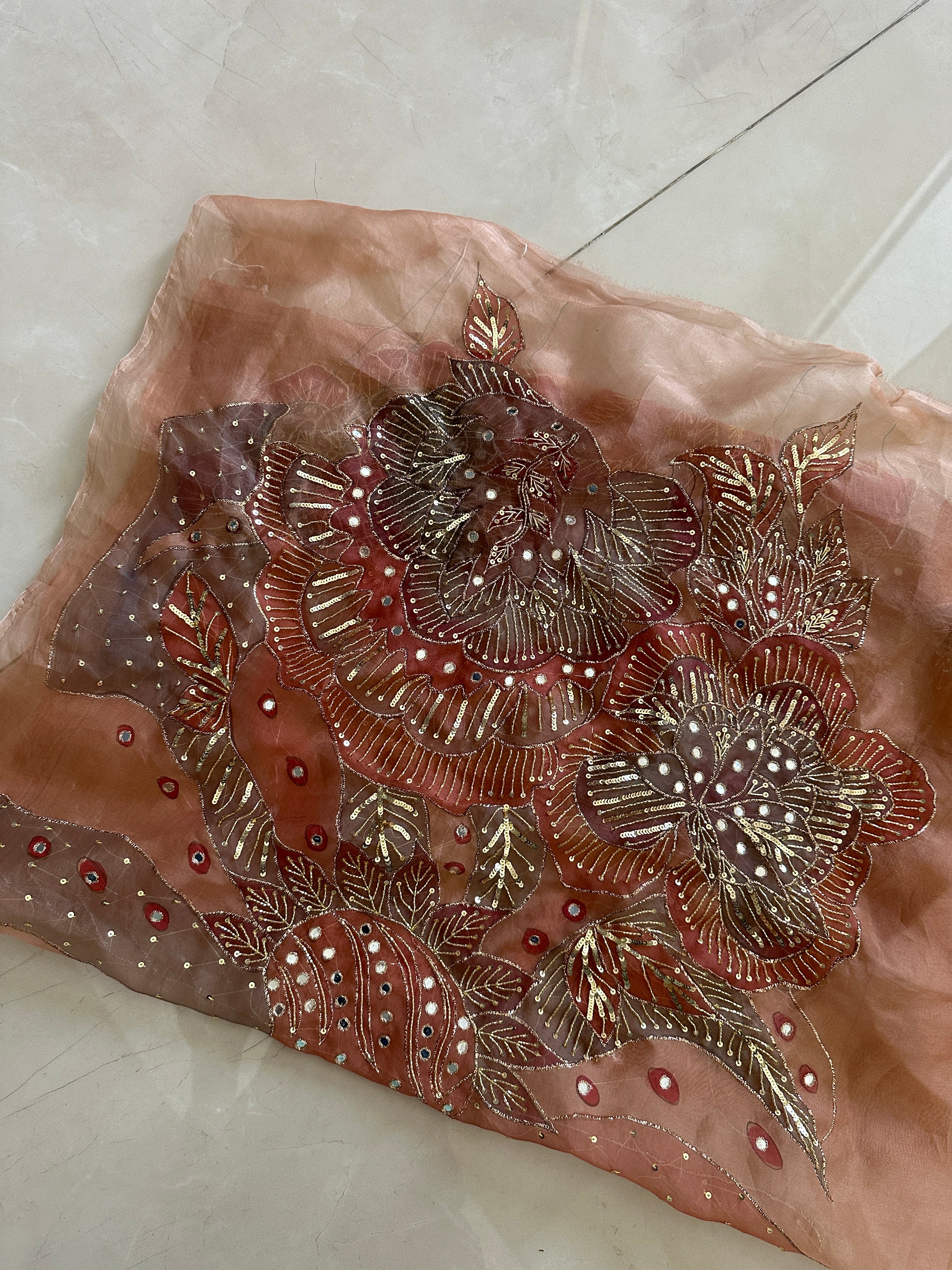 Shahzadi Silkpainted Embellished Pure organza saree and blouse