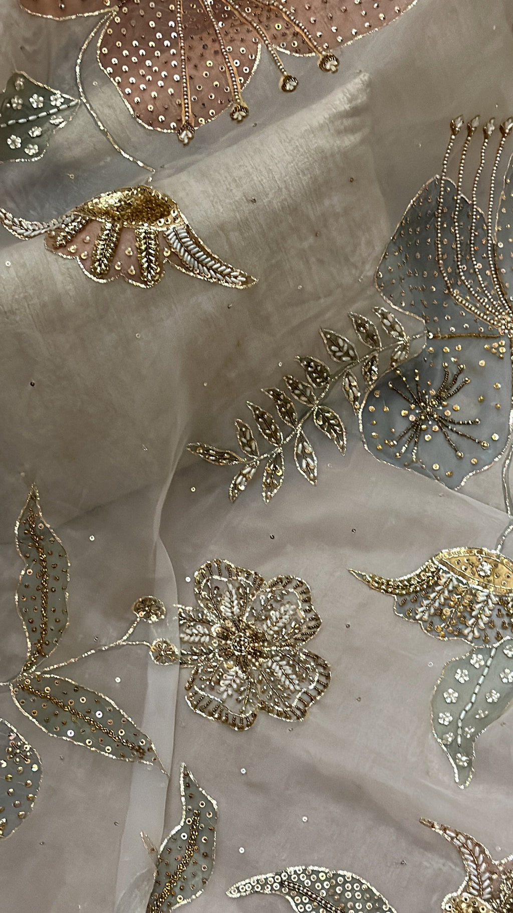 Ivory Silkpainted Pure organza dupatta