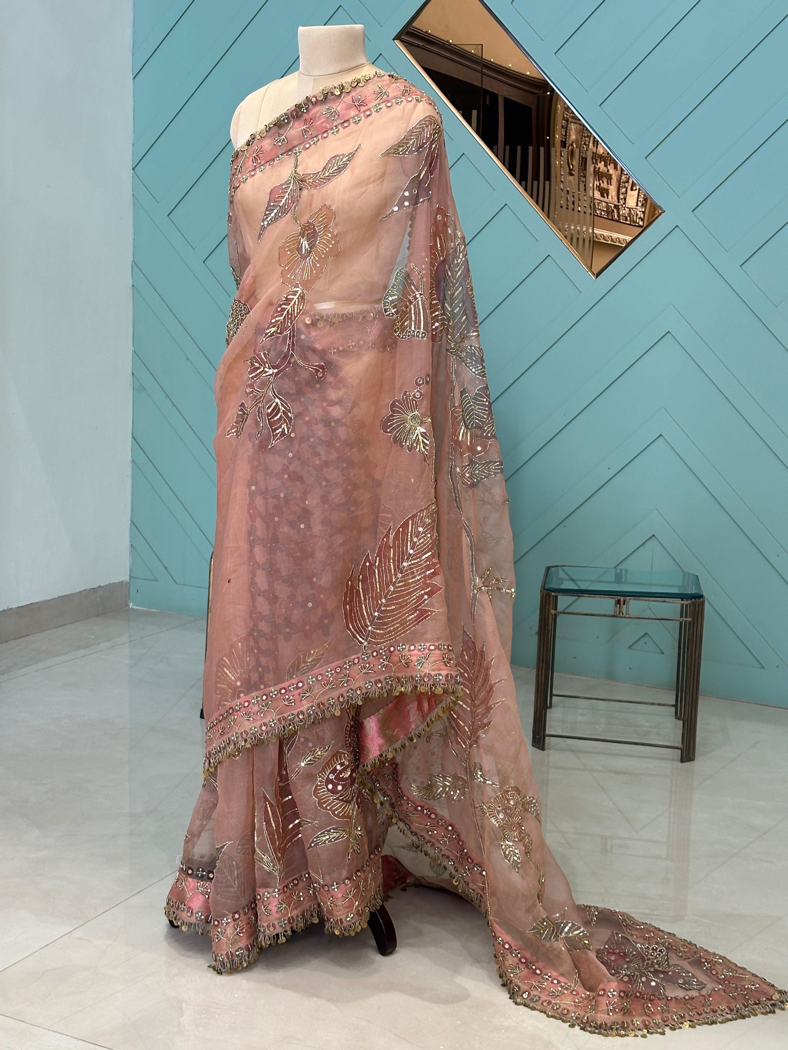 Shahzadi Silkpainted Embellished Pure organza saree and blouse