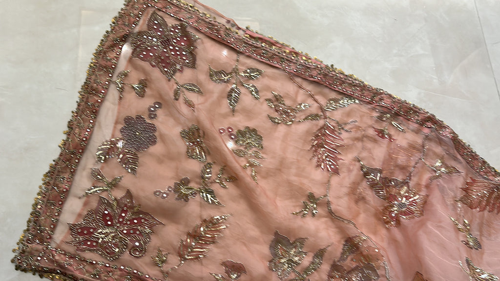 Shahzadi Silkpainted Embellished Pure organza saree and blouse