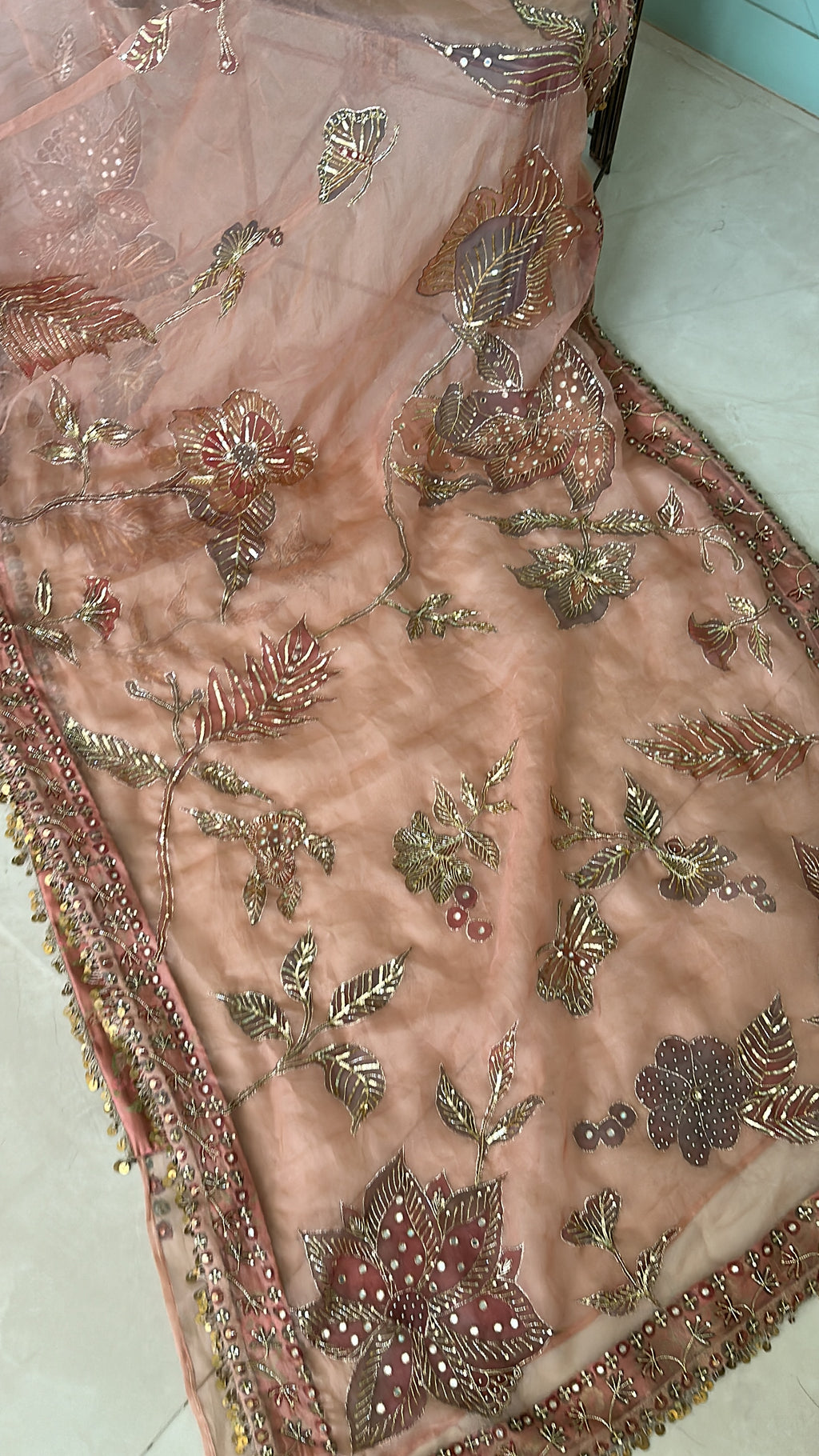 Shahzadi Silkpainted Embellished Pure organza saree and blouse